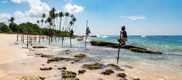 Mirissa, Sri Lanka_daniel-klein-Qx8_d5dGhrs-unsplash.jpg